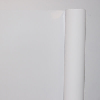 シートサイズ 8x10 10x12 11x14 14x17 A4 A3 A3 13X17 インクジェット X線フィルム PETフィルムベース 印刷速度 1～3分 診断に最適